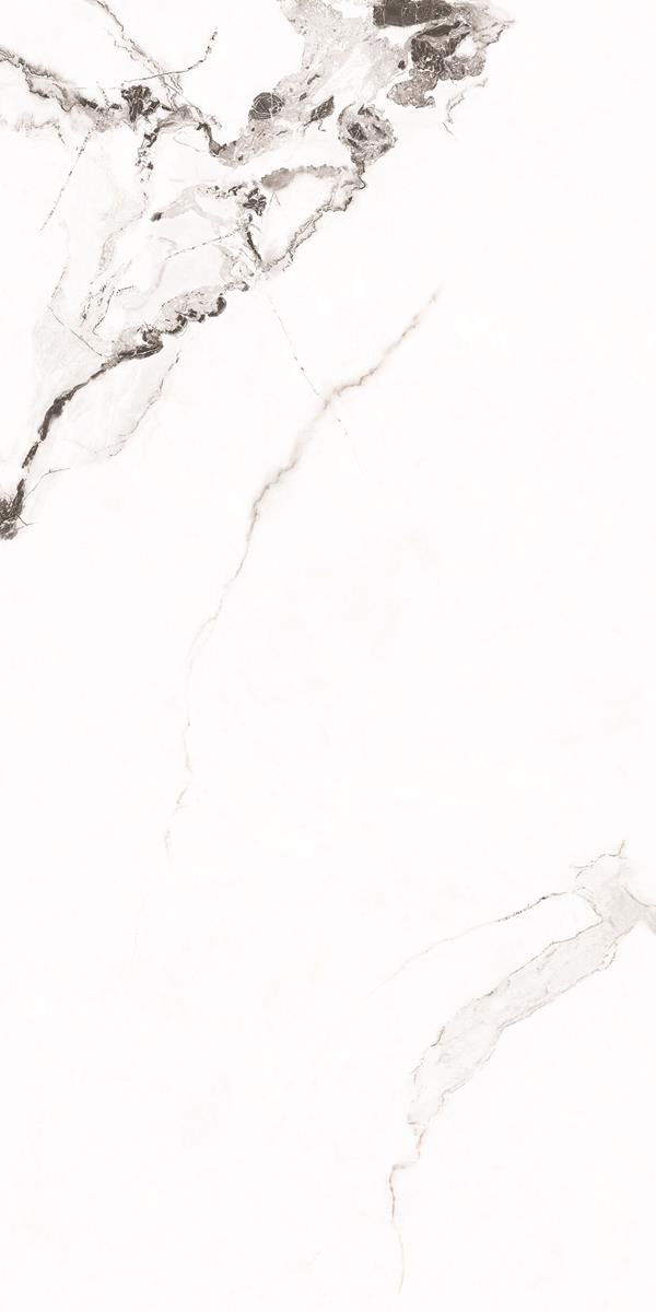 CAPRAIA. GREY F5